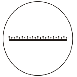 Scale Comparator