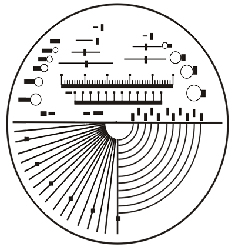 Scale Patterns of Contact Reticules Multi Scales