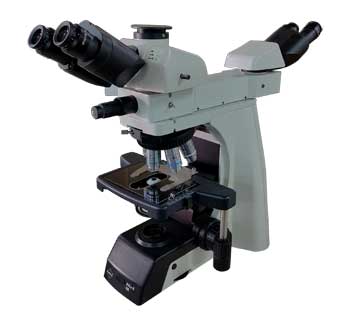 Multihead Teaching Microscopes